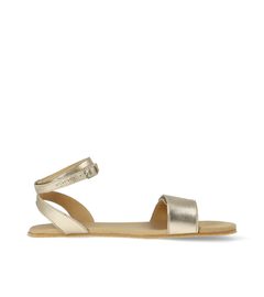 ANGLES ERYX Gold 1
