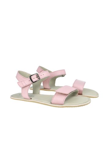 ANGLES HESTIA Rose