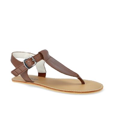 ANGLES ARES Brown