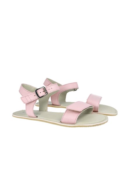 ANGLES HESTIA Rose