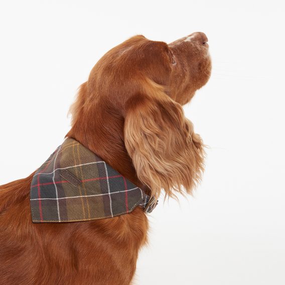 Pamut kutyakendő Barbour - Classic Tartan