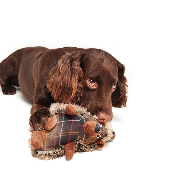 Barbour Hedgehog Dog Toy