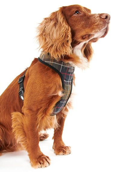 Barbour Tartan Dog Harness