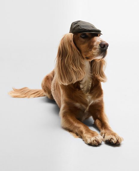Barbour Dog Wax Flat Cap