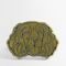 Barbour Dog Pin — Spaniel