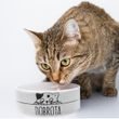Miska pro kočky MAZLÍČCI pr. 12 cm