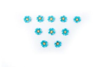 Topolovka – cukrové květinky na dort, 10 kusů