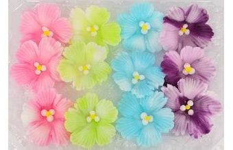 Květy jabloně 12ks (36g) (mix) III.