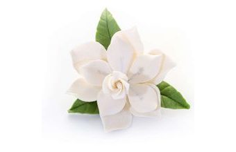 Kytice gardénií – cukrová dekorace na dort