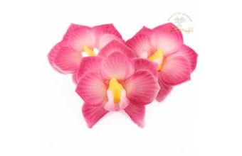 Orchidej s růžovým okrajem 10g