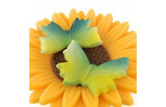 Modelovaný motýlek velký - Žlutomodrý stříkaný