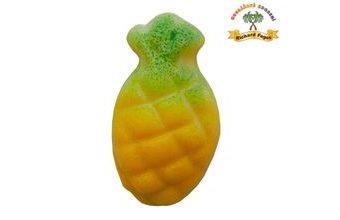 Modelované ovoce - Ananas