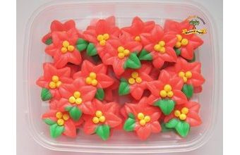 Vánoční hvězda (40ks)