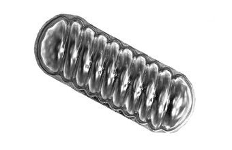 Vyklápěcí formička vanilka 20 ks