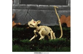 SKELETON - Kostra - KRYSA - Halloween - 20 cm