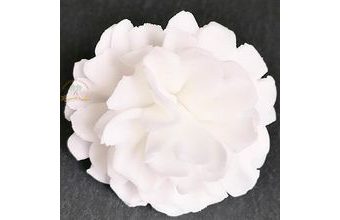 Modelované květy karafiát bílý