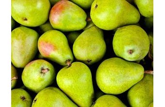 Ovocný gel - hrušková náplň 1 kg