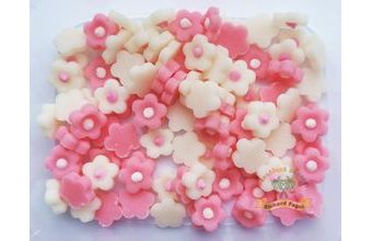 Kytičky drobné růžové 20g