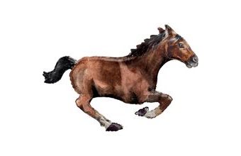 Kůň balónek 101 cm x 63 cm Amscan