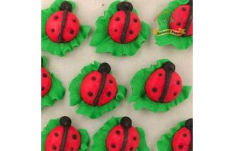 Cukrové dekorace berušky na lístečku