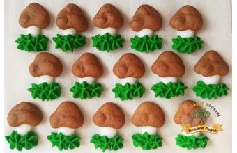 Cukrové dekorace hříbečky