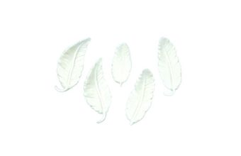 Bílá peříčka – cukrová dekorace na dort