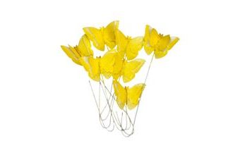 Žluté oblátkové motýlky