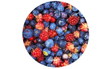 Lesní ovoce ochucovací pasta - 200 g