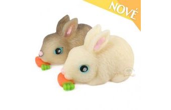 Králíček králík bílý