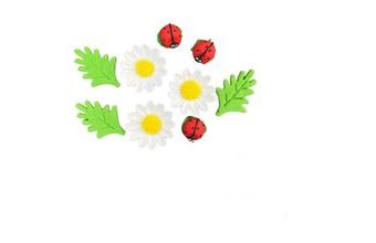 Sedmikráska a berušky