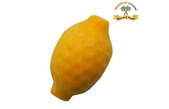 Modelované ovoce - Citron