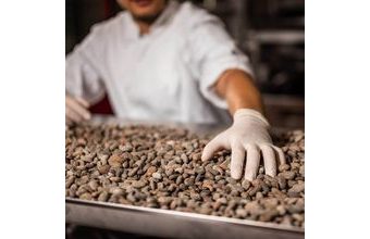 Nepražené kakaové boby Criollo 1000g