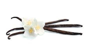 Ztužovač vanilkový 1 kg