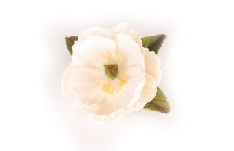 Pivoňka malá – cukrová dekorace