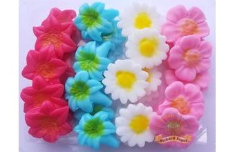 Modelované kytičky 1 (DecorHmota)