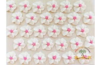 Cukrové ozdoby květy na platíčku 38