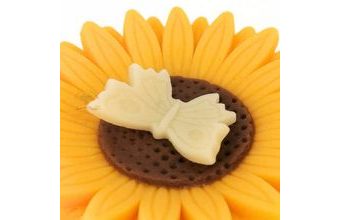 Modelovaný motýlek barevný - bílý