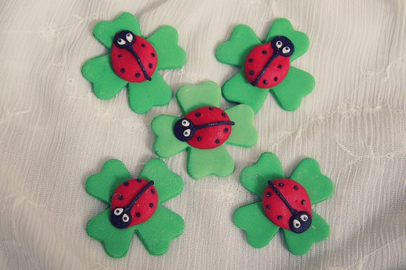 Beruška na čtyřlístku