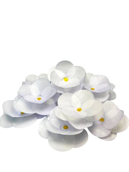 Oblátková kamélie – bílá