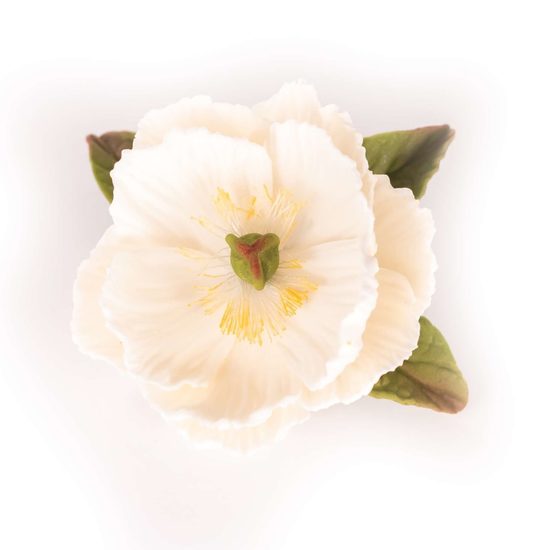 Pivoňka malá – cukrová dekorace