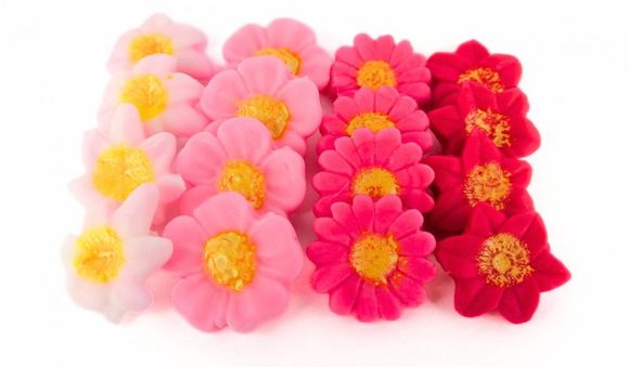 Modelované kytičky 6 červené (DecorHmota)