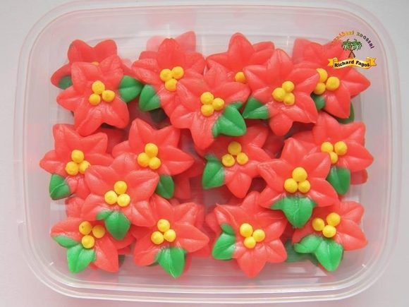 Vánoční hvězda (40ks)