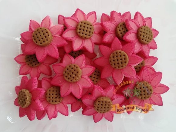 Třapatka (Echinacea) 20ks