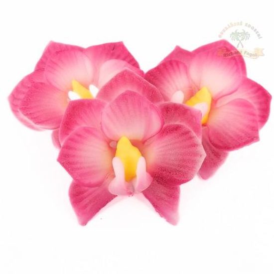 Orchidej s růžovým okrajem 10g