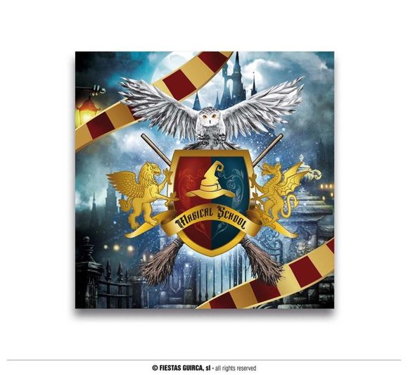 Papírové ubrousky čaroděj HARRY - 33 x 33 cm - 12 ks