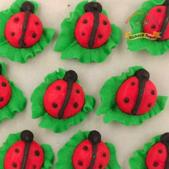 Cukrové dekorace berušky na lístečku