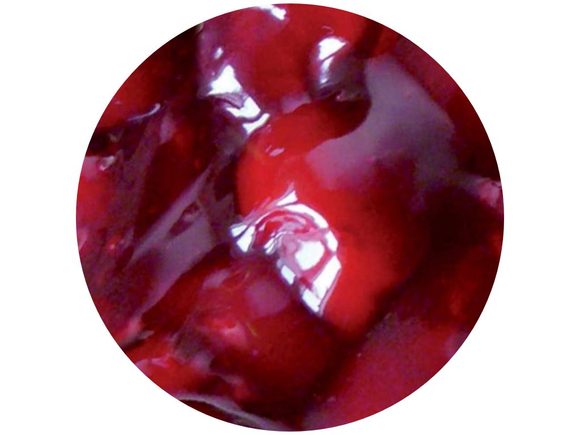 Náplň višně v gelu 60% -  6kg