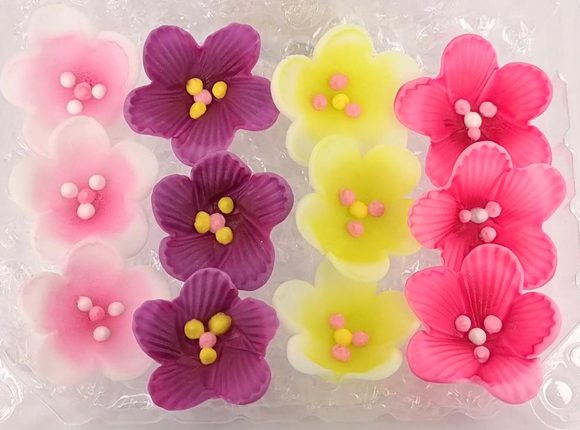 Květy jabloně 12ks(36g) (mix)