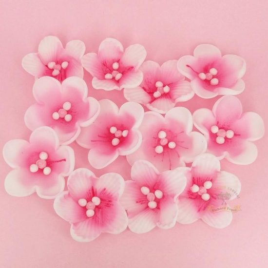 Květy jabloně 12ks (36g) růžové