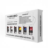 Sneakers Paint Starter Kit